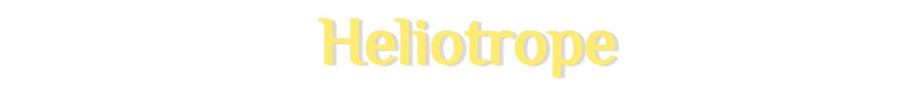 Heliotrope