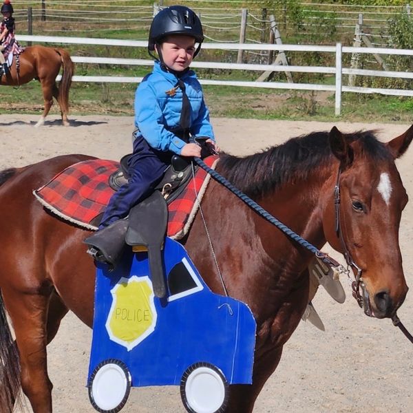 A child in a helmet rides a horse decorated as a police car.
