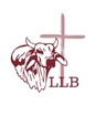 LLB Foundation