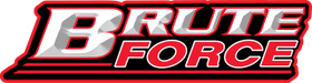 BruteForce USA