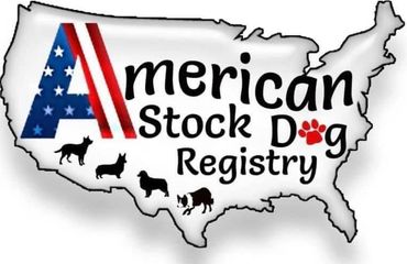 ASDR (American Stock Dog Registry)