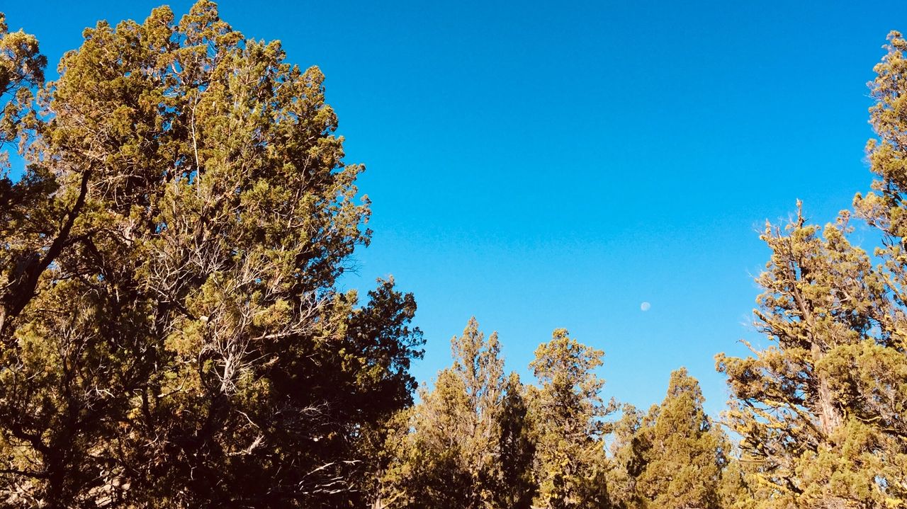 Moonrise in Eastern Oregon