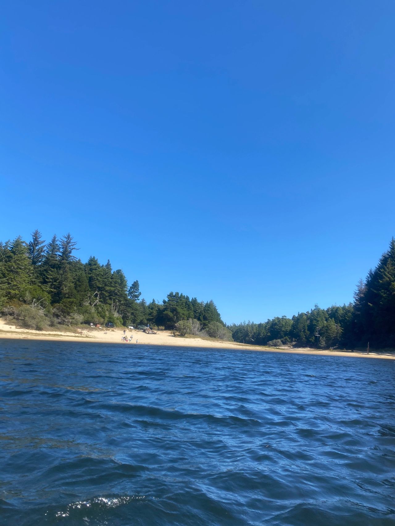 View of the beach from the boat