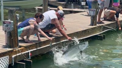 group of people fishing in a river.