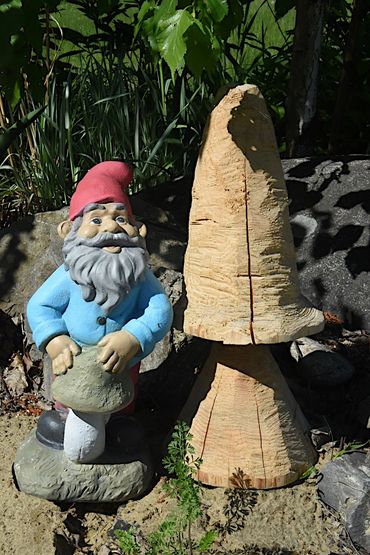 Colorful  Gnome with mushroom garden statue pictured with chainsaw carved mushroom.