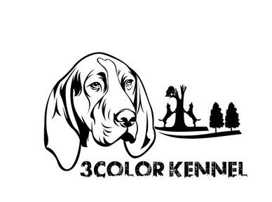 3Color Kennel, Ad Campaign