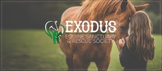 Exodus Equine Sanctuary & Rescue Society