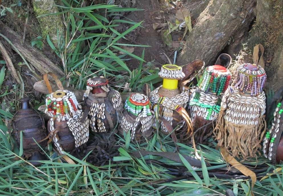 Oromo Community Organization - DMV