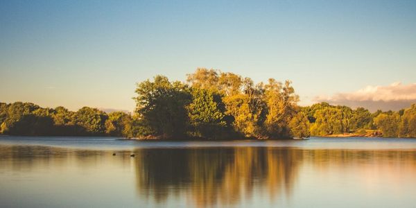 A small island with trees reflected in calm water during golden hour.