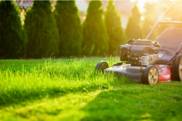 Back To Eden Lawn Services