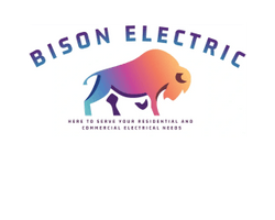 Bison Electric