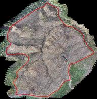 drone forestry depletion orthophoto