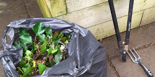 Cheap Gardener Sutton