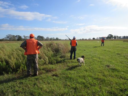 Dry Creek Ranch, Inc. — photo 4