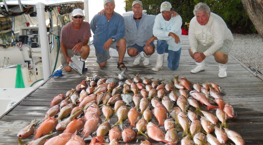 LIMIT OUT OR CATCH & RELEASE