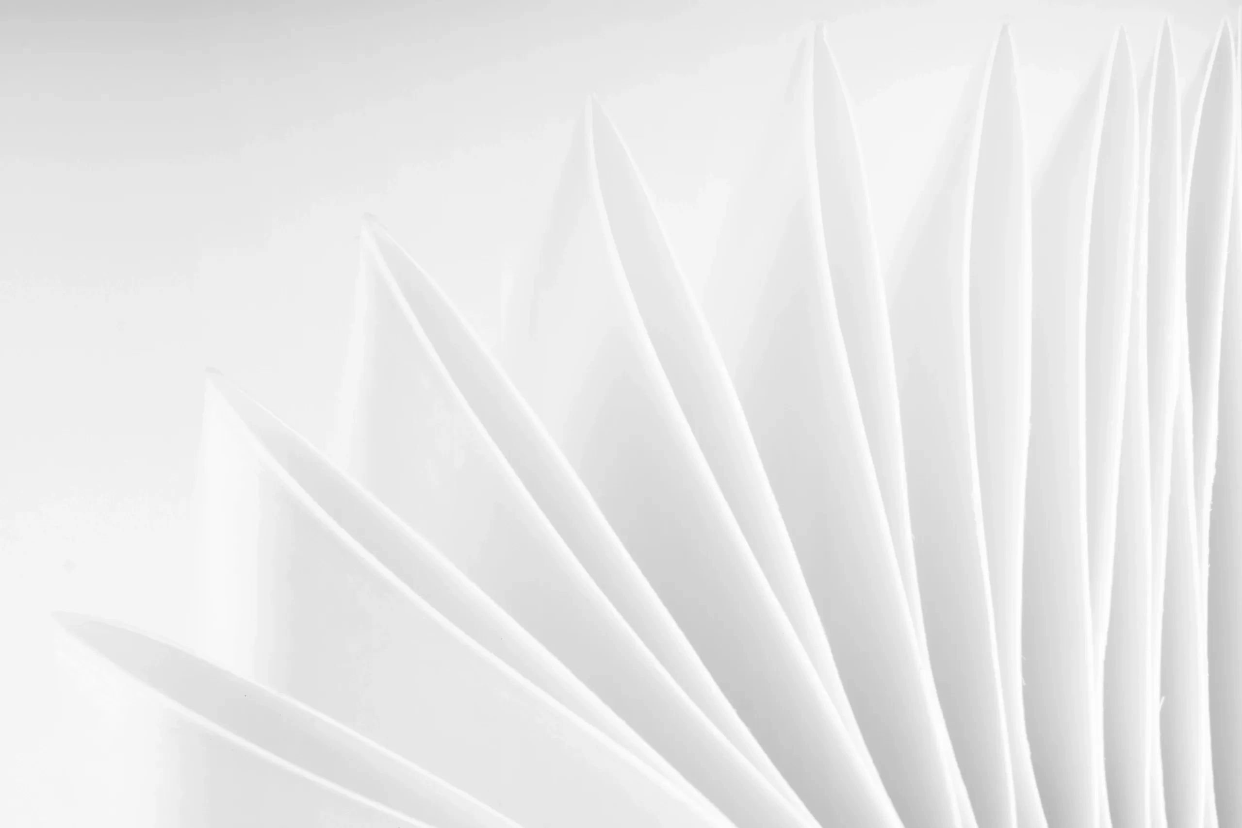 Fan-inspired backdrop symbolising layered structure, longevity, and refined aesthetic care. 