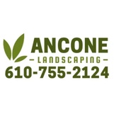 Ancone Landscaping