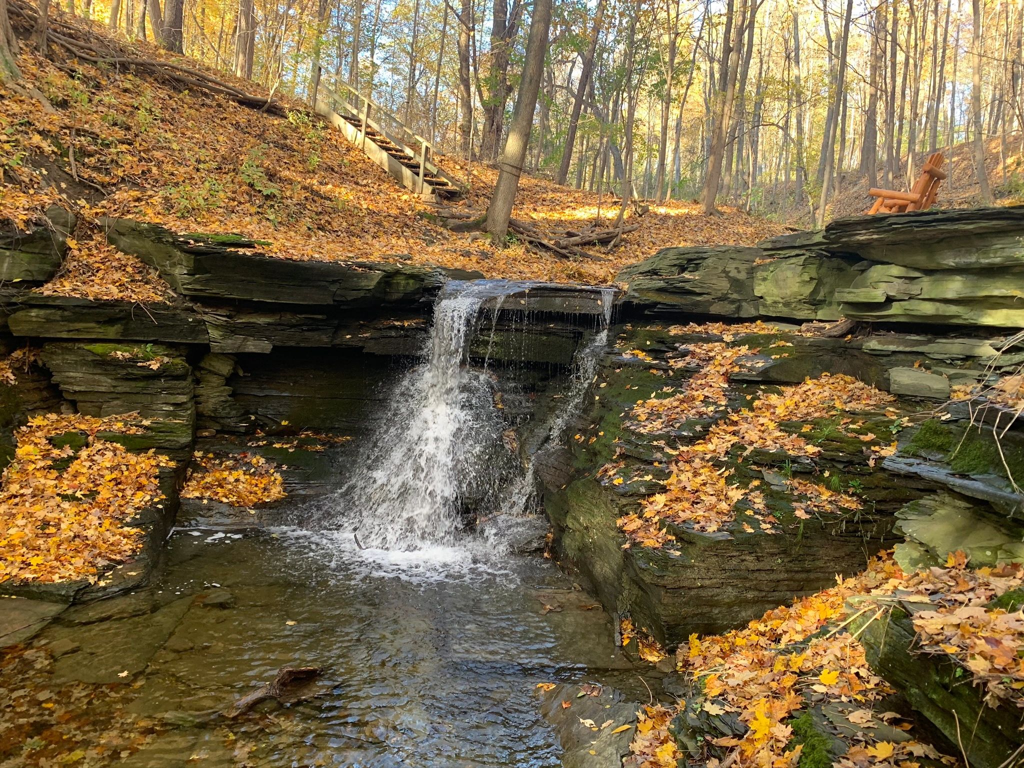 Lakeside Resort Pet Friendly Hotels Watkins Glen, New York