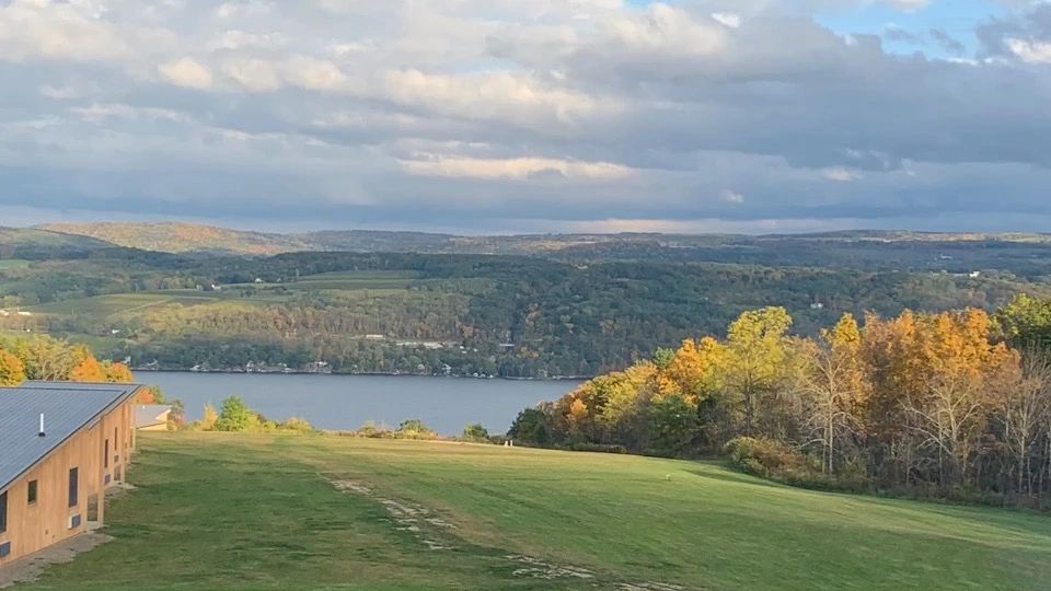 Lakeside resort pet friendly hotels watkins glen new york
