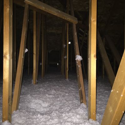 Home Inspection Service in the attic