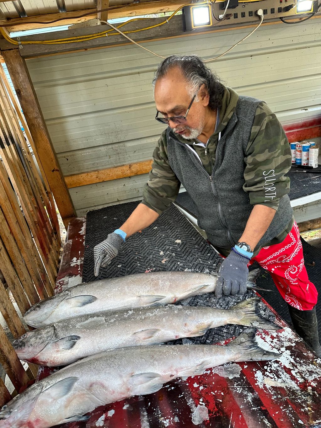 Eugene lining up spring salmon 