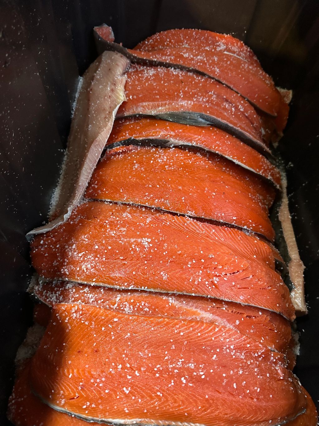 Layered and salted sockeye and spring