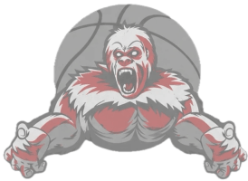 Gorilla Basketball 
