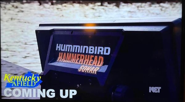 Television show feature