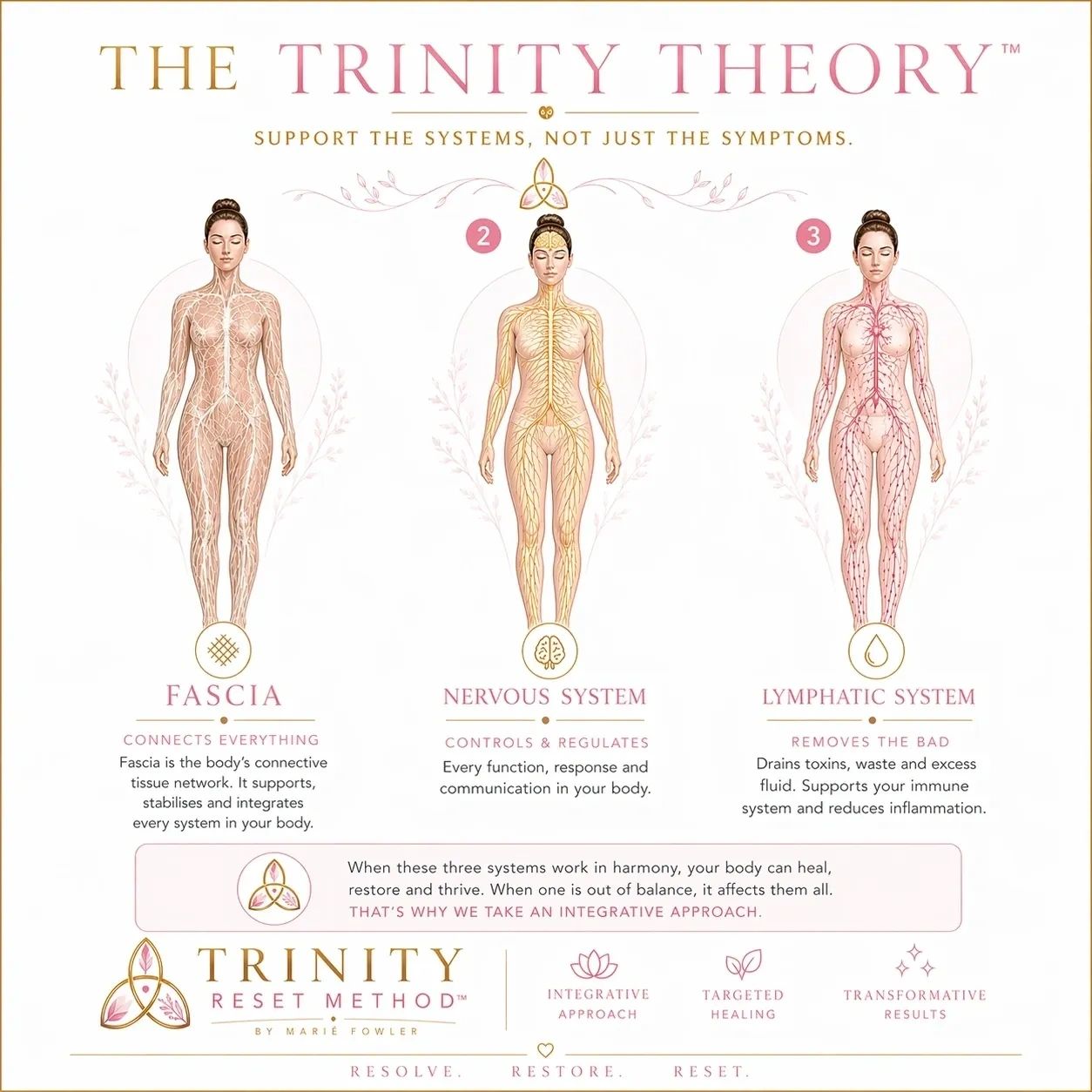I believe the foundation of true mobility, function, and long-term health lies in the connection bet