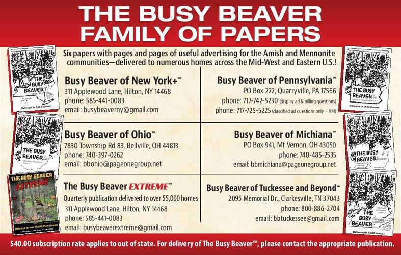 Busy Beaver Publications, LLC