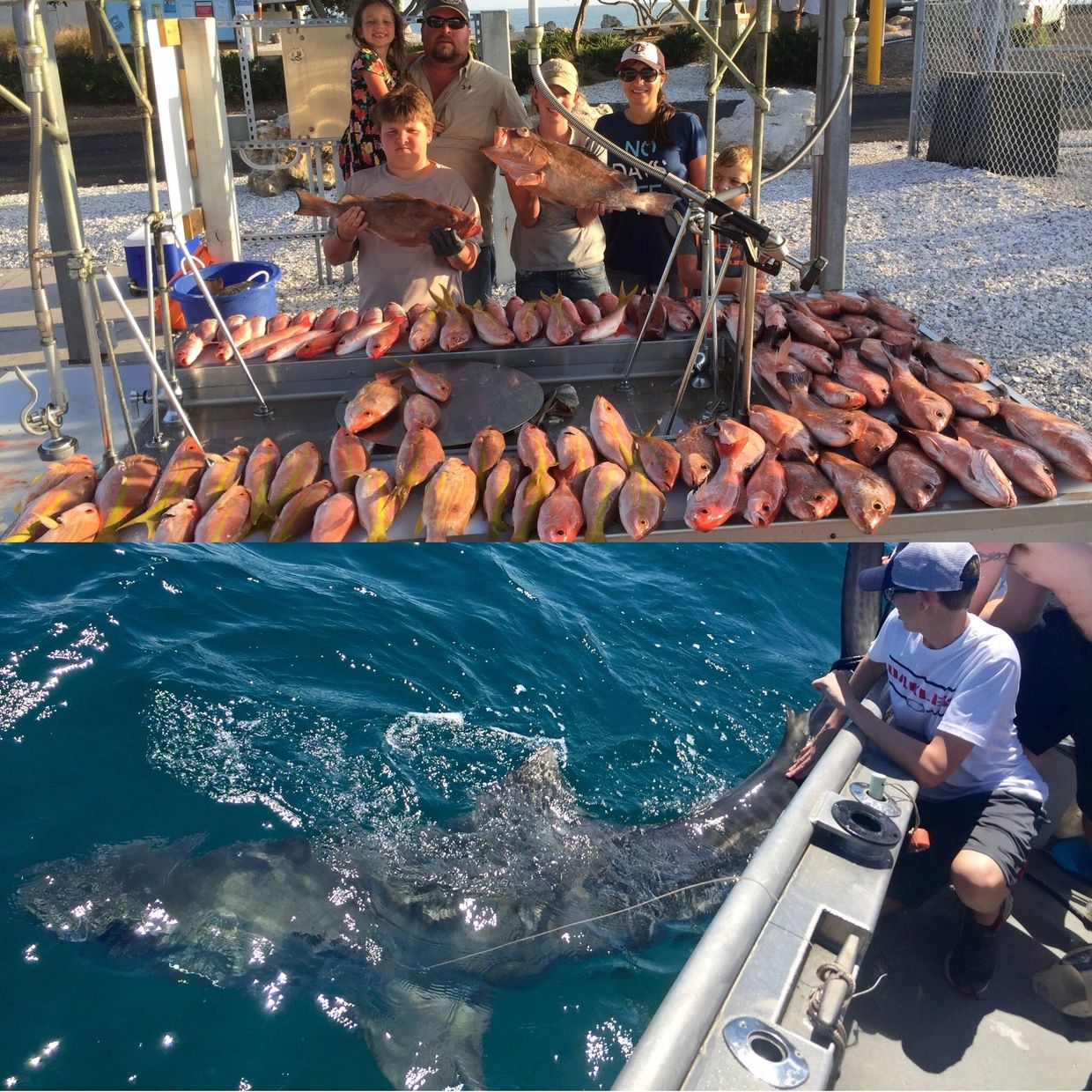 A family shows off their fish catch and a person interacts with a large shark from a boat.