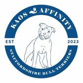 Kaos Affinity Staffy Breeder