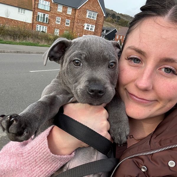 Woman holding a gray puppy, both looking at the camera.