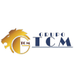 TCM DESARROLLO EMPRESARIAL