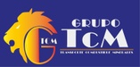 TCM DESARROLLO EMPRESARIAL