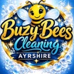 Buzy bees cleaning company ayrshire