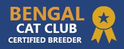 Exotic Bengals of San Diego is a proud supporter of the Bengal Cat Club, and we are certified