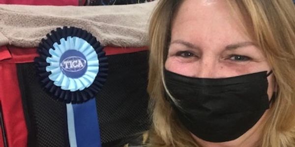 Exotic Bengals of San Diego has champions in its lines. #ExoticBengalSD www.exoticbengalsd.com