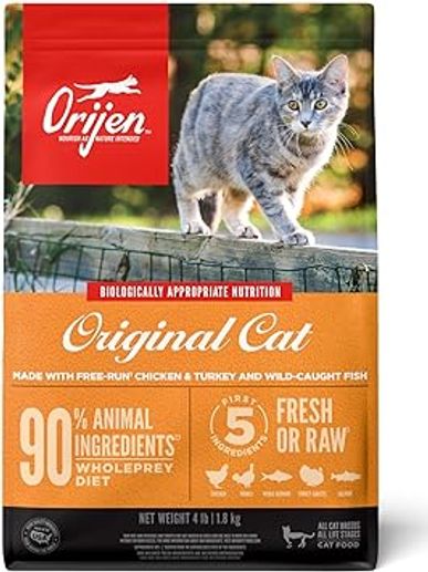 Bengal cat dry food