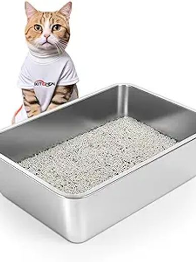 Best  litter box for cats and especially Best litter box for Bengals!  Try this litter box!
