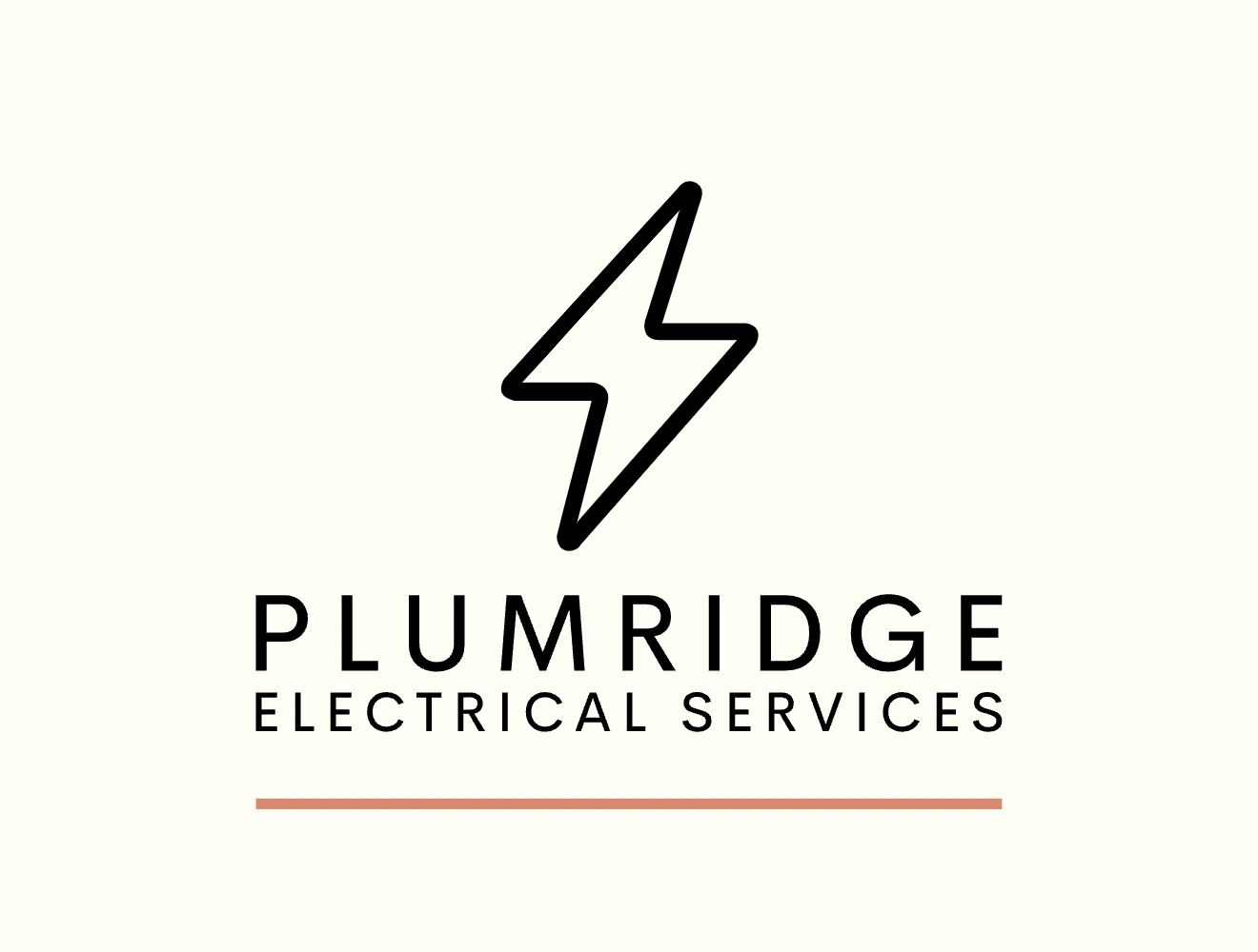 PLUMRIDGE ELECTRICAL SERVICES logo