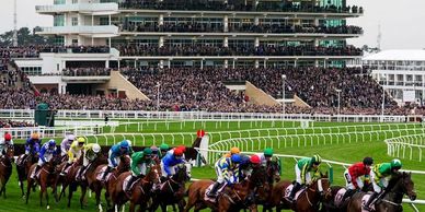 Horse Racing Transport