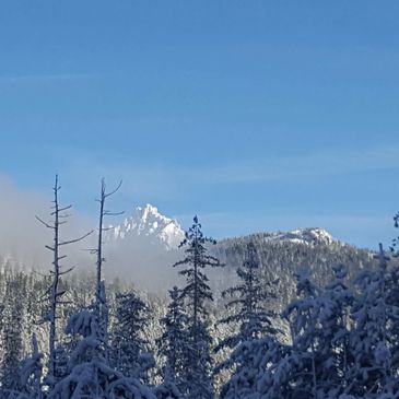 Snow-covered trees and mountains under a clear blue sky.