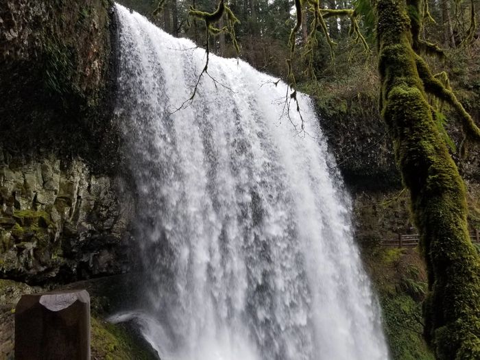 A powerful waterfall cascading down a rocky cliff surrounded by mossy trees.