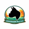 Livin Boxers