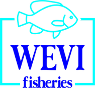 HT Wevi-Fisheries