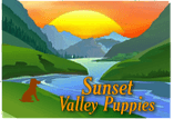 Sun Set Valley Puppies