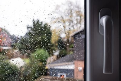 Raindrops on a window with a blurred garden view outside.