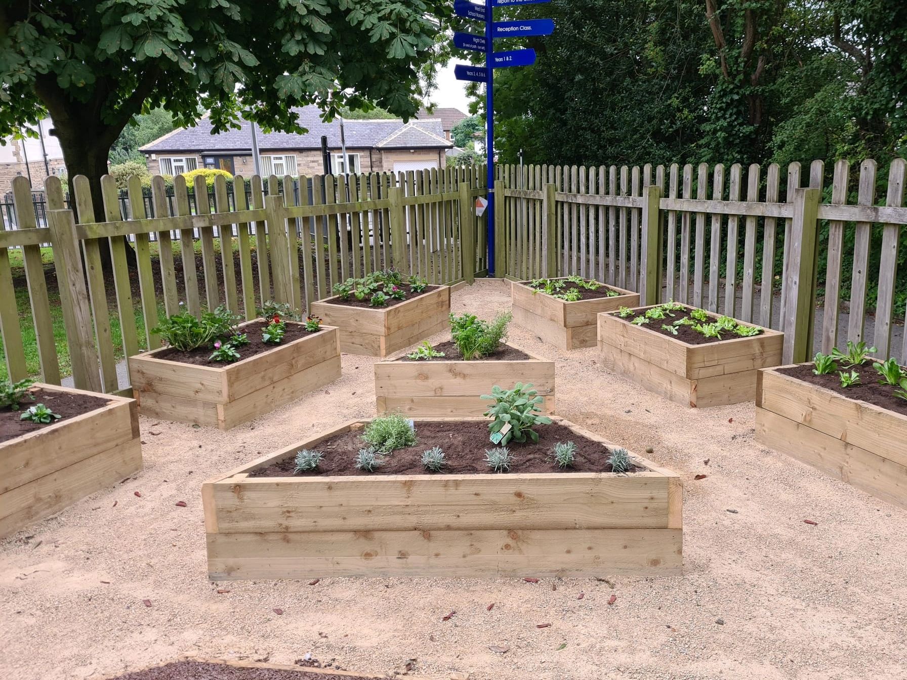 Raised planters for vegetables 