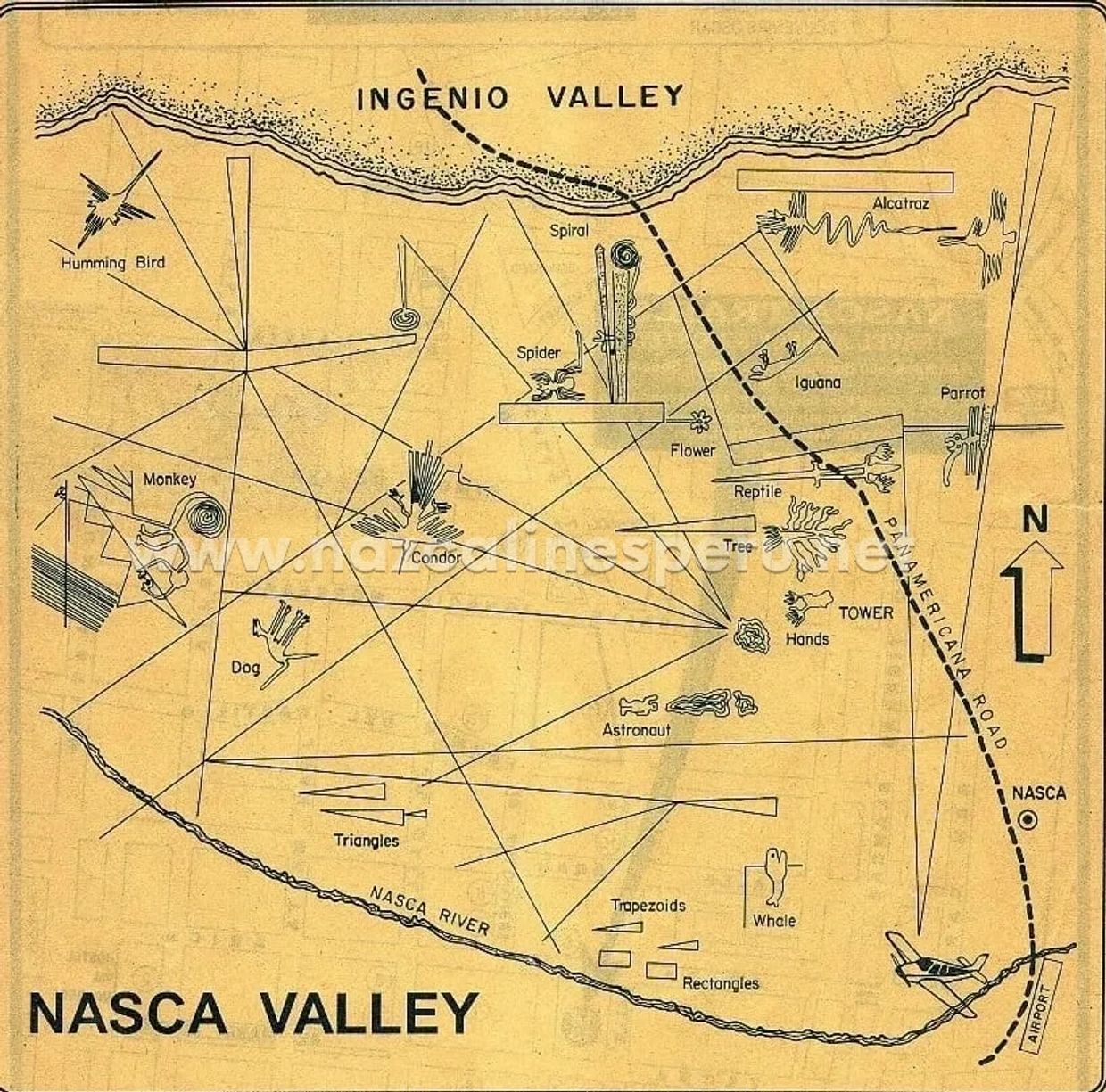ナスカの地図、壮大な線画の地図、世界の主要人物のフィギュア、ソブレブエロのタンビエンの世界
ナスカの地上絵ツアー 